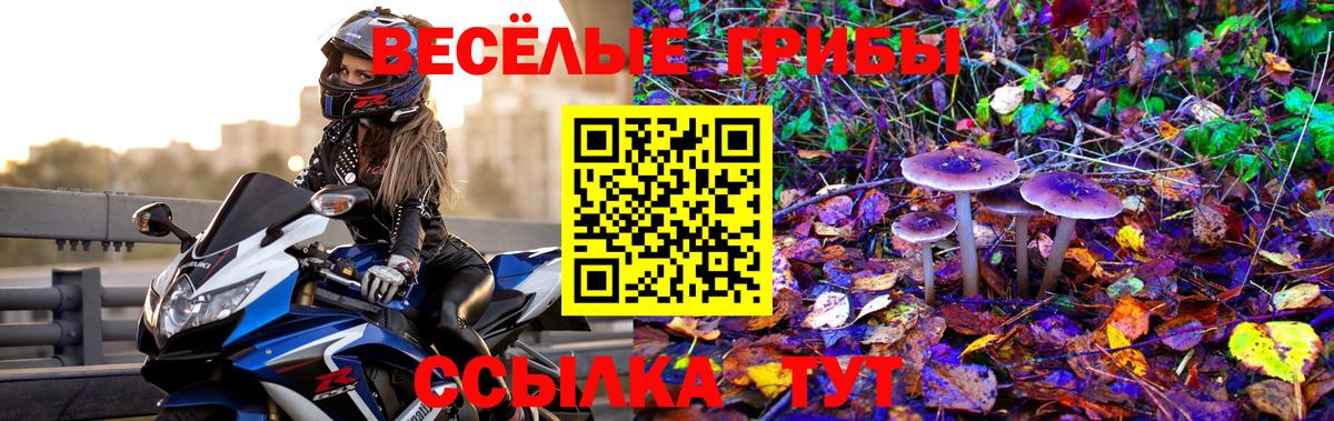 Псилоцибиновые грибы Psilocybe Нефтеюганск